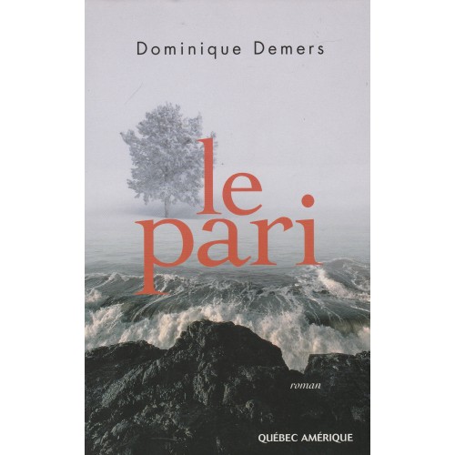 Le pari  Dominique Demers